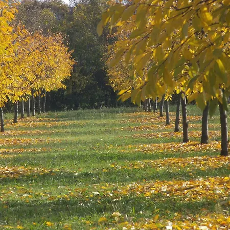 Bauernhof Cantalupo *