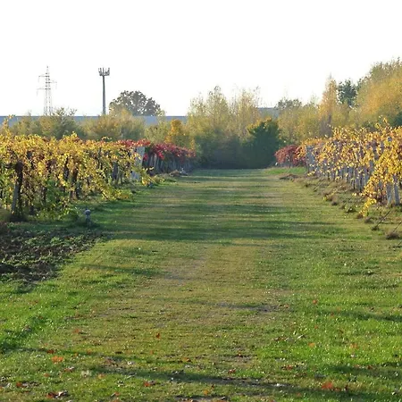 Bauernhof Cantalupo Formigine