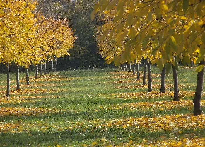 Bauernhof Cantalupo *