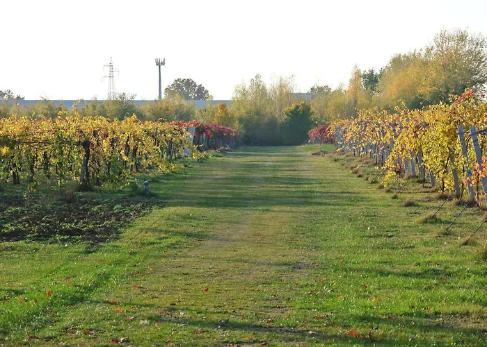 팜스테이 Cantalupo 포르미지네